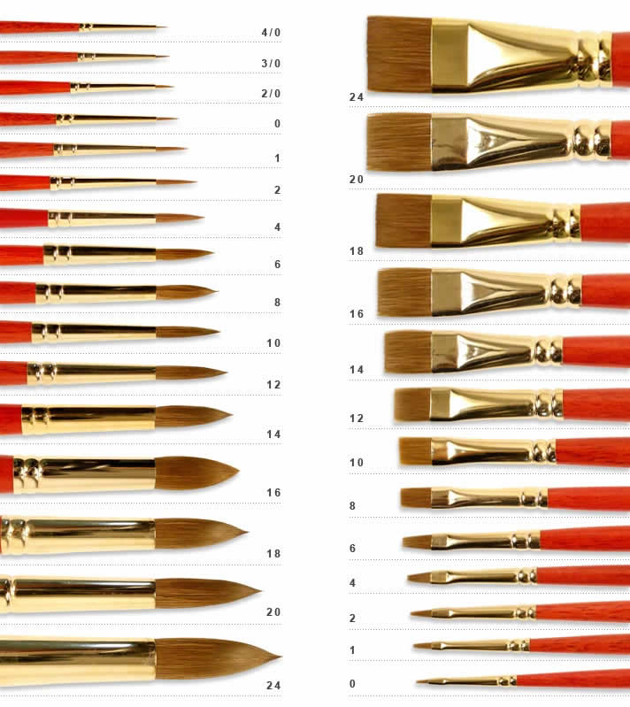 Purchase Guide Brush Size Chart MisterArt Com   Brush Sizes 