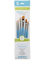 Select Artiste Brush Sets