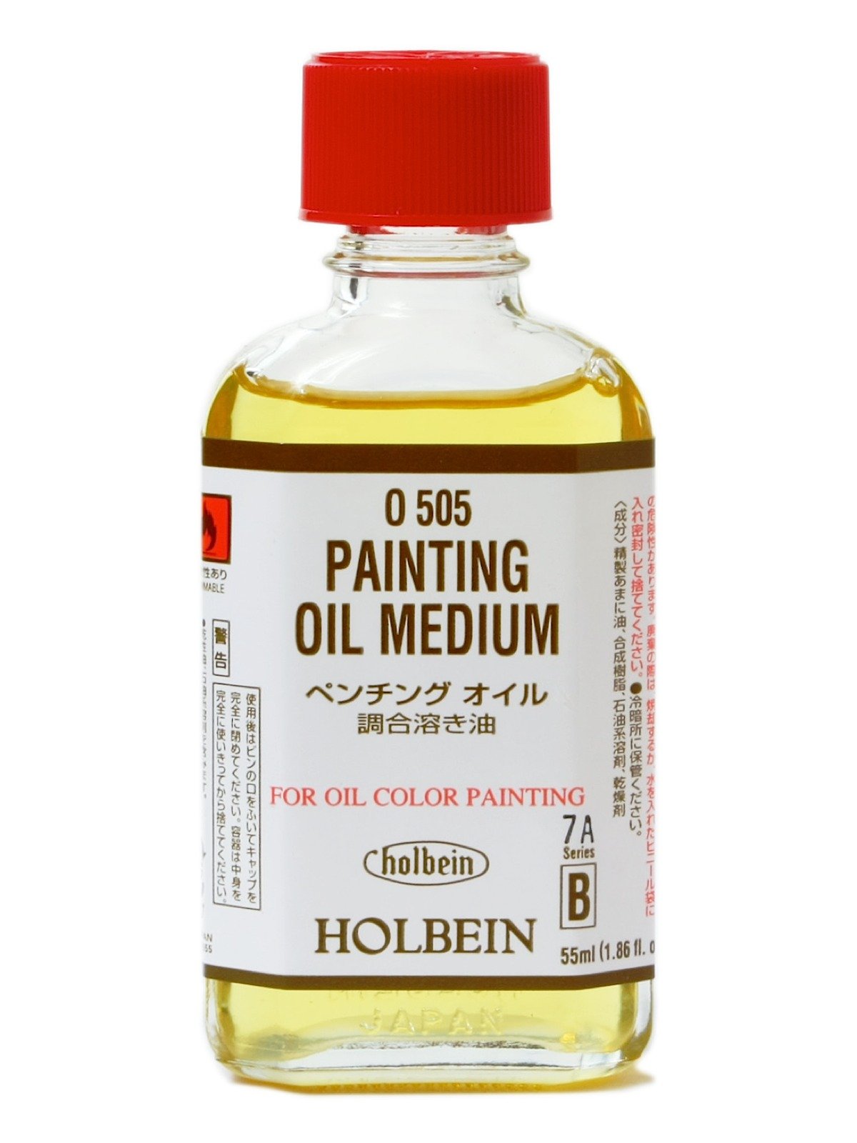 Holbein - Painting Oil