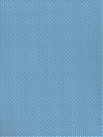 Dotted Swiss 80 lb. Cardstock