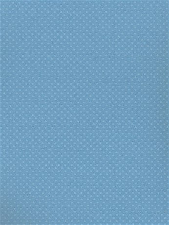 Bazzill - Dotted Swiss 80 lb. Cardstock