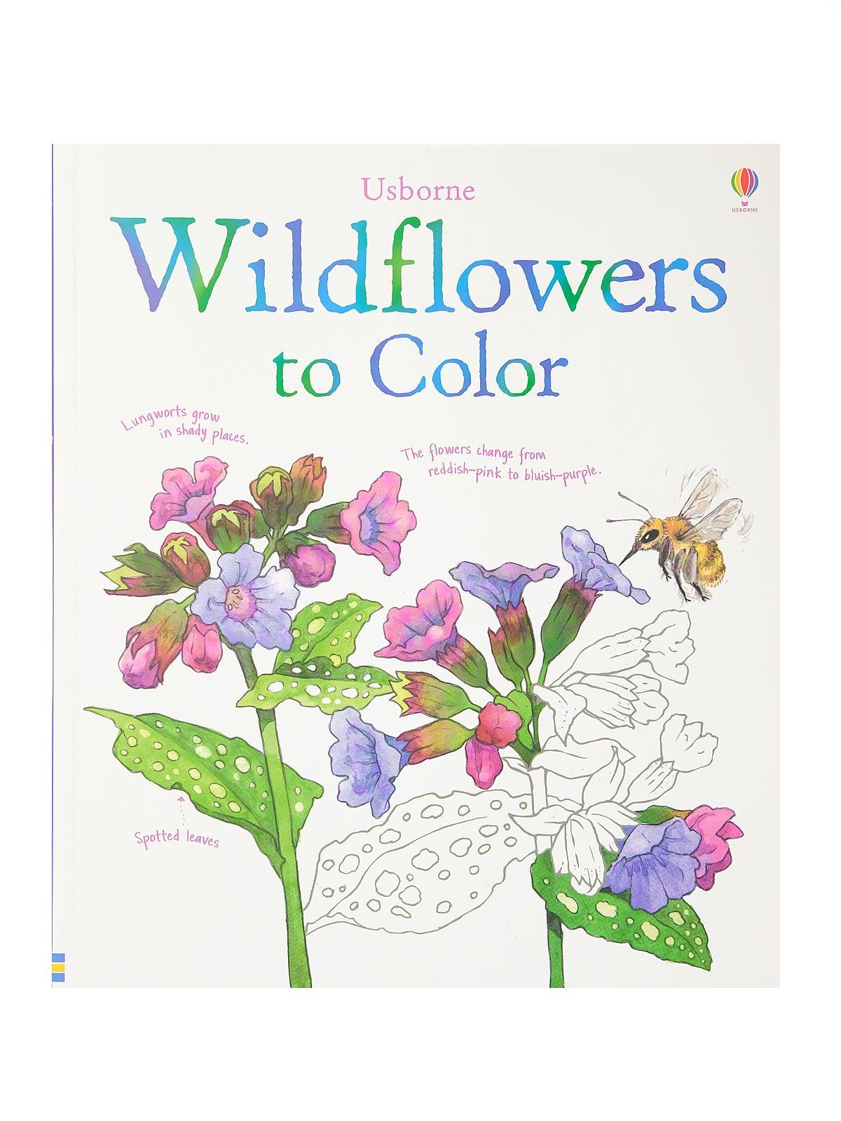 Usborne Books - Adult Coloring Books