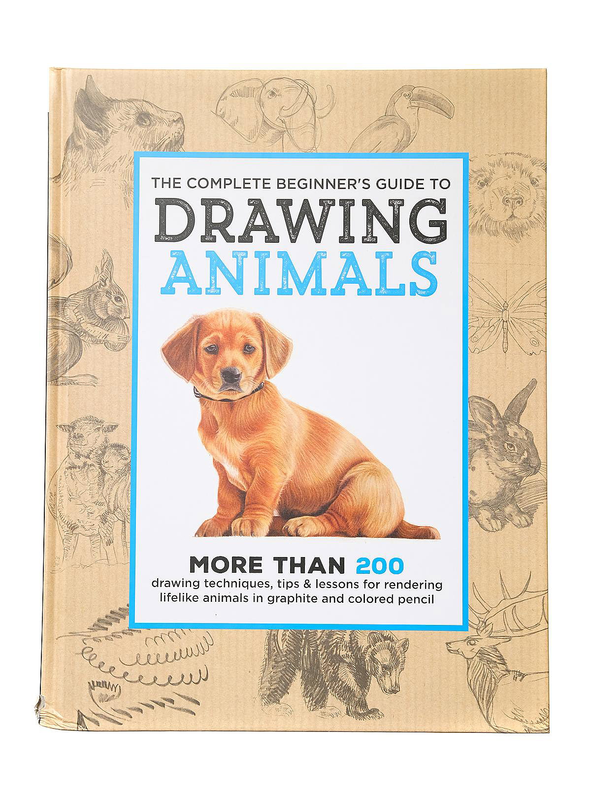  Animation: A Complete Drawing Kit for Beginners: 9781560101987:  Foster, Walter: Books