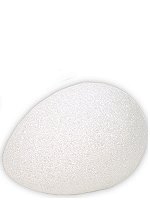 Styrofoam Duck Eggs