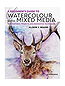 A Beginner's Guide to Watercolour with Mixed Media