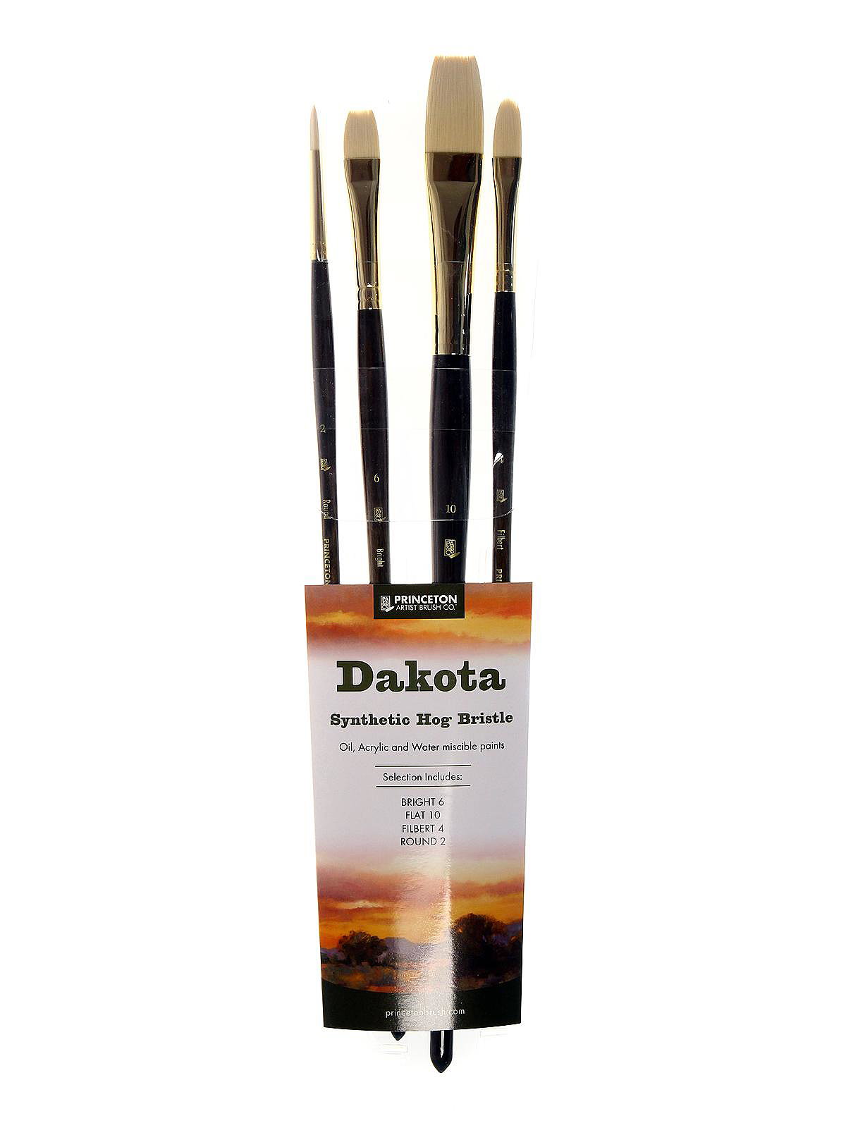 Princeton 6300 Dakota Synthetic Bristle Brush Filbert 8
