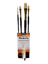 Series 6300 Dakota Synthetic Bristle Long Handle Brushes