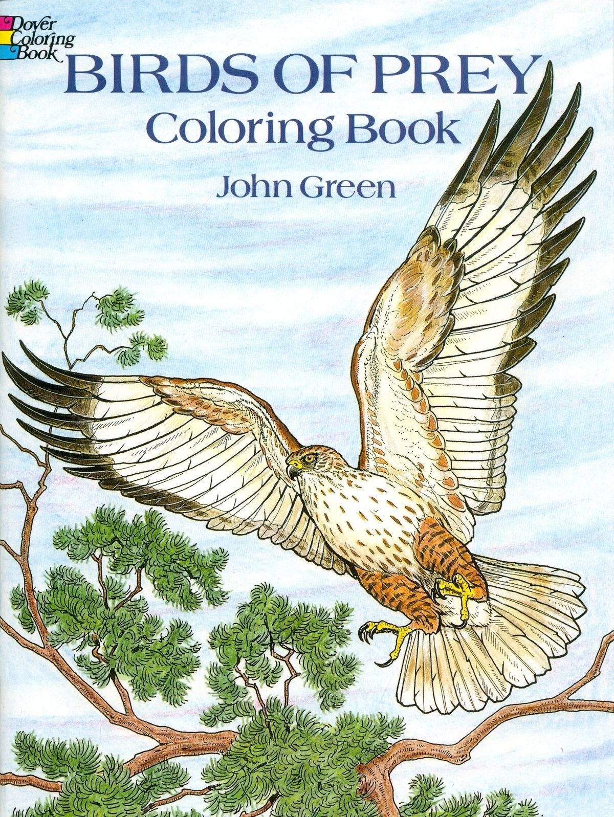 Dover - Birds of Prey Coloring Book