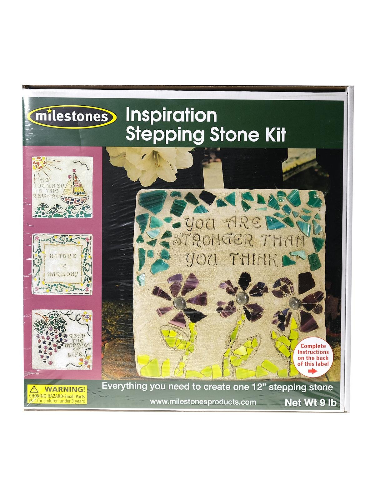 Milestones - Inspiration Stone Kit