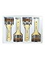 Camel Hair Large Area Brushes - Classroom Value Pack