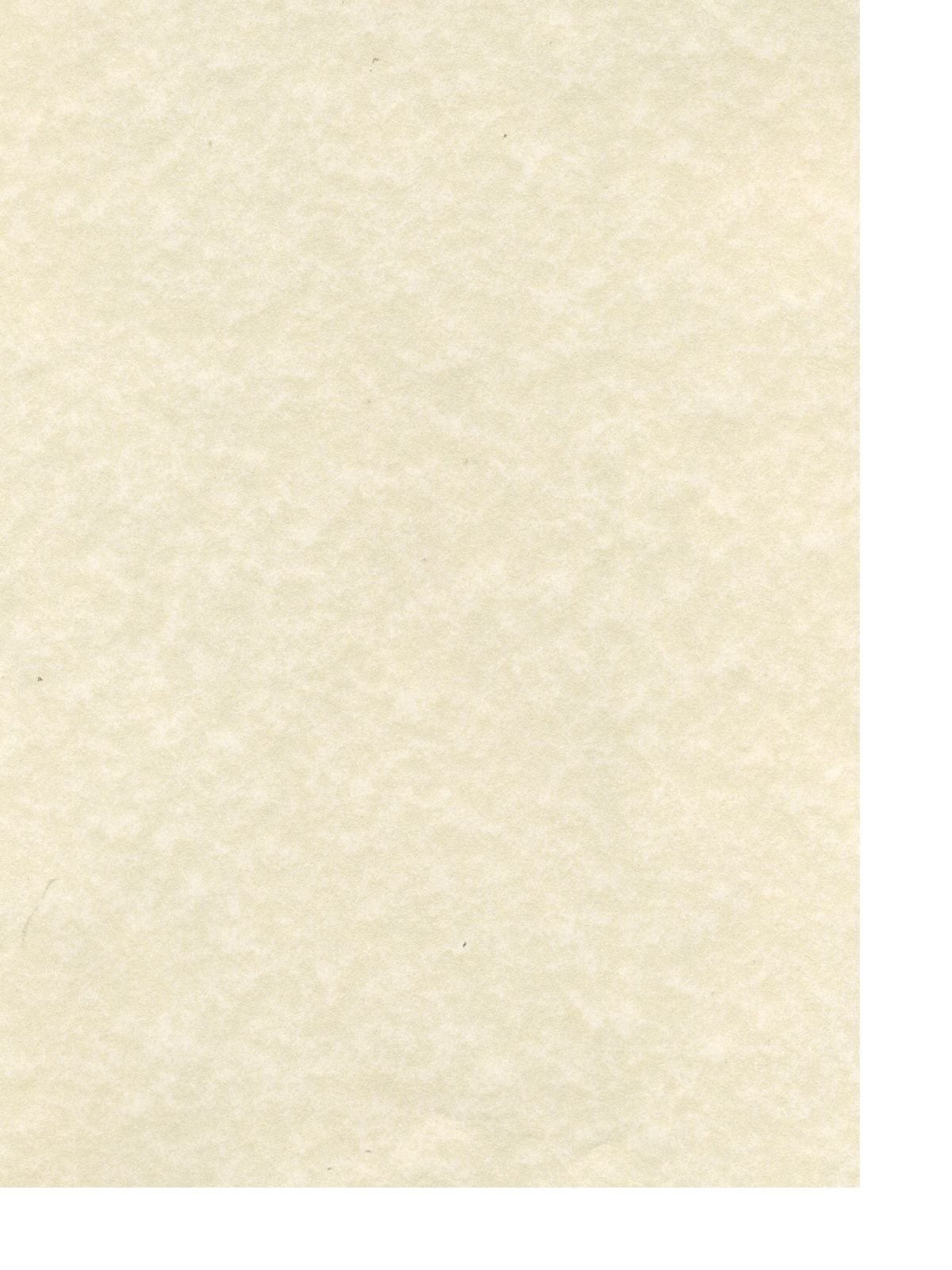 Canson - Classic Cream Drawing Paper Sheets