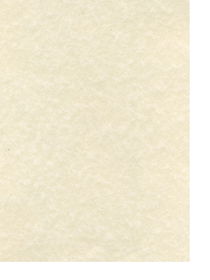 Canson Classic Cream Drawing Paper Sheets