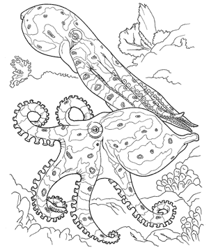 Coral Reef Coloring Book Page