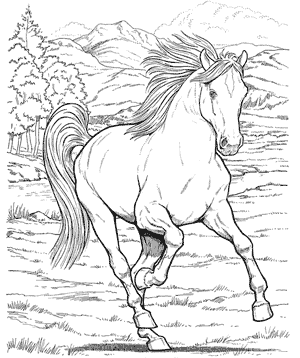 Wonderful World of Horses Coloring Book Page