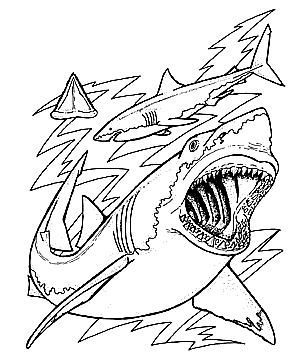 Sharks of the World Coloring Book Page