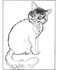 Coloring Page from: The Cat Coloring Book
