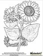 Download free coloring book pages