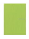 Fabriano - EcoQua Notebooks gluebound dot lime 5.8 in. x 8.25 in.