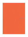 Fabriano - EcoQua Notebooks gluebound dot orange 8.25 x 11.7 in.