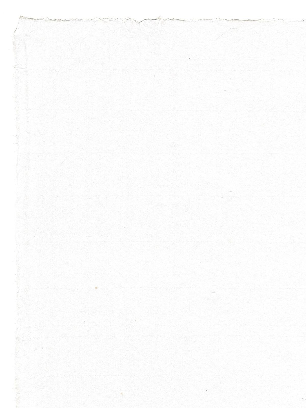 Hosho Printmaking Paper 19 in. x 24 in., sheet, professional grade