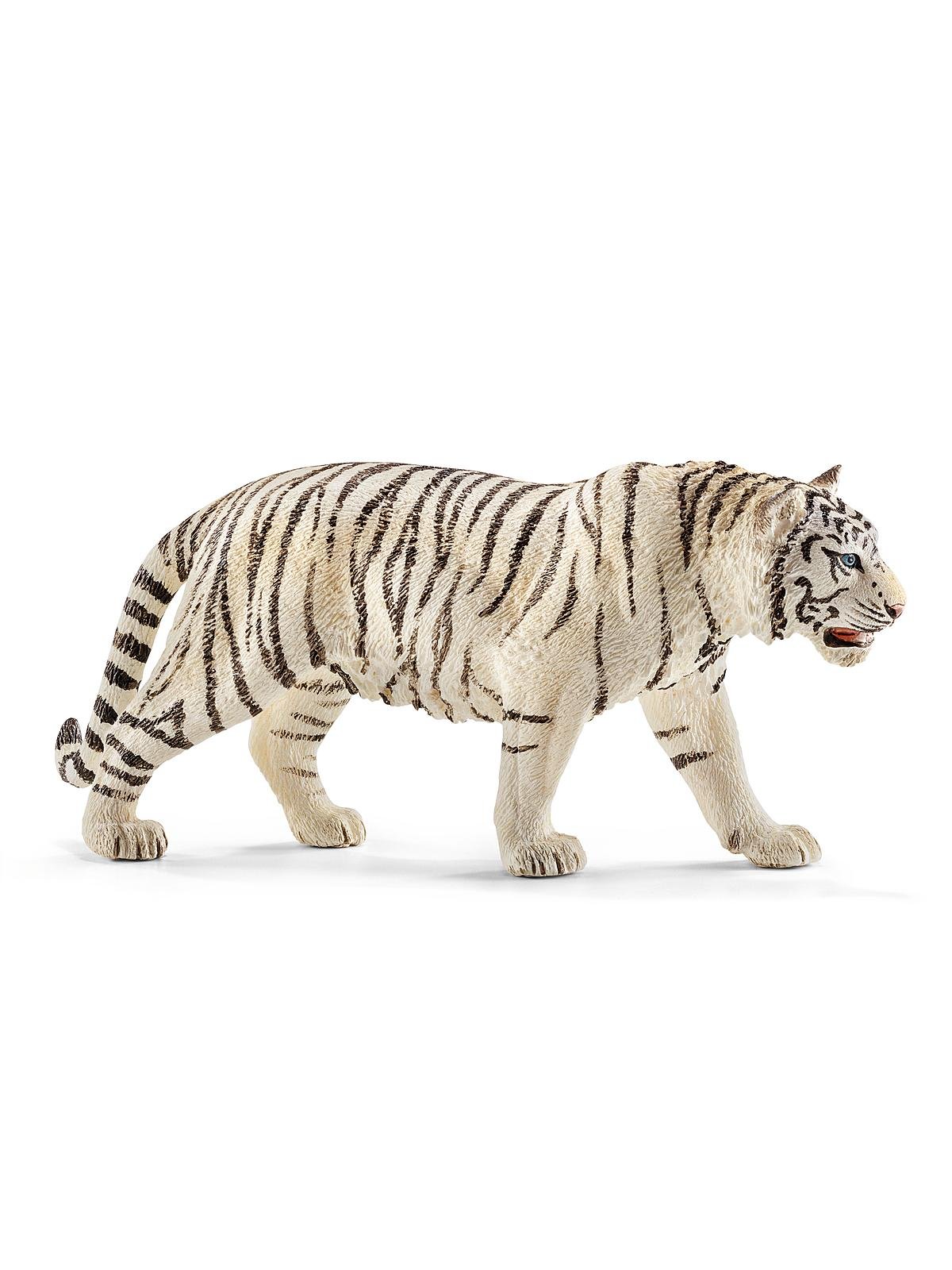 Tiger, White