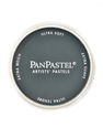 PanPastel - Artists' Pastels turquoise extra dark 580.1 9 ml