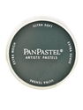 PanPastel - Artists' Pastels phthalo green extra dark 620.1 9 ml