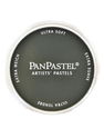 PanPastel - Artists' Pastels chromium oxide green extra dark 660.1 9 ml