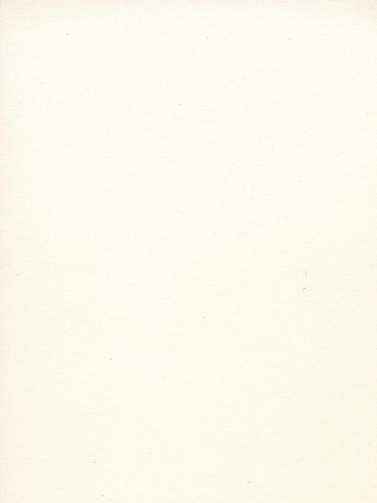 Crescent Illustration Board - 15x20, White, Cold Press, No. 16