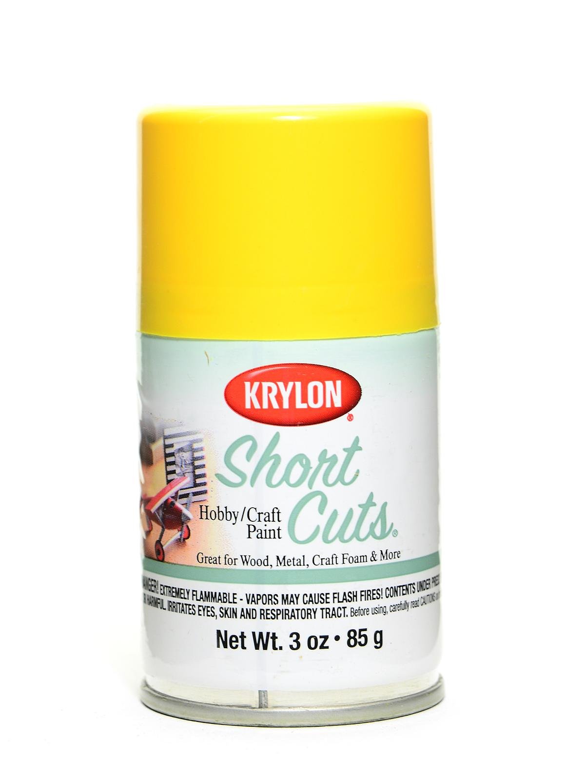 Krylon Short Cuts Spray Paint, Hot Pink 