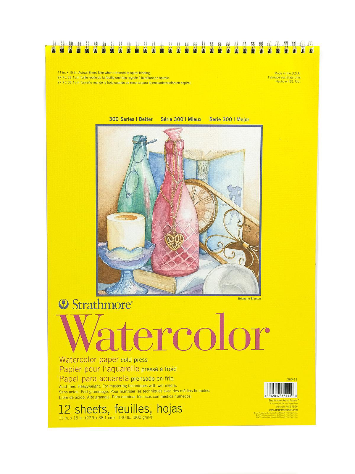 Strathmore® 300 Series Watercolor Pads & Royal Talens Set