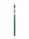 Faber-Castell - Polychromos Artist Colored Pencils (Each) hookers green 159