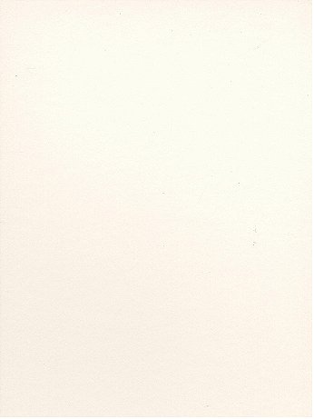 Canson - Bristol Smooth Art Board - 16 in. x 20 in.