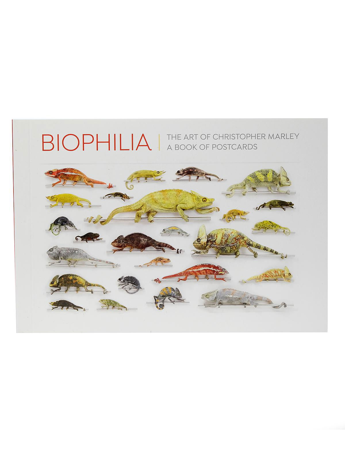 Biophilia