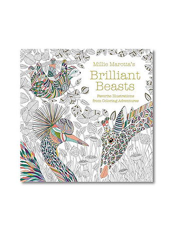 Union Square & Co - Coloring Books - Brilliant Beasts