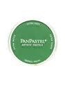 PanPastel - Artists' Pastels permanent green shade 640.3 9 ml