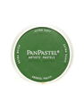 PanPastel - Artists' Pastels chromium oxide green shade 660.3 9 ml