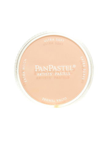 PanPastel - Artists' Pastels - Burnt Sienna Tint, 740.8, 9 ml